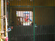 playground inside iron gate