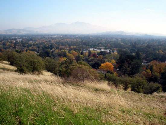 Dinosaur Hill Park, Pleasant Hill, CA
