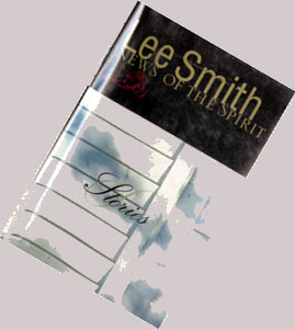 cover of book NEWS OF THE SPIRIT by Lee Smith