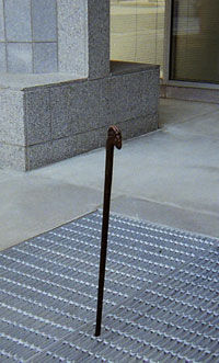 walking stick in sidewalk grate, kc