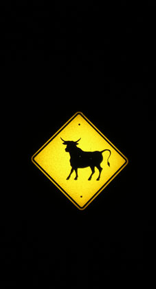 cattle crossing sign, nevada night, hwy 50