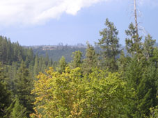 sierra hills and trees