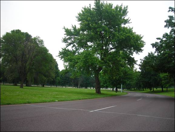 green sward, south St. Louis