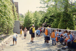 lincoln park zoo