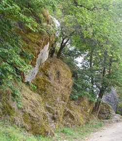 big, moss-covered boulders, bridal falls