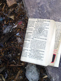 bible tract on ground by pay phone